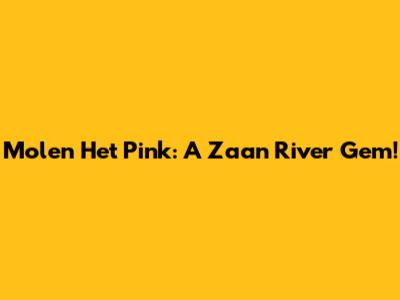 Molen Het Pink: A Zaan River Gem!